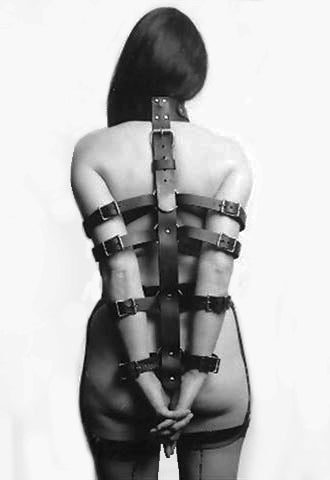 Body Restraint