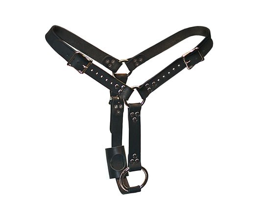 Male Butt Plug Harness