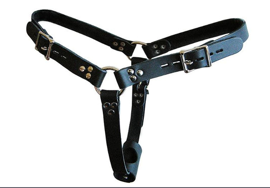 XL Locking Female Butt Plug Harness with Two Detachable Cuffs