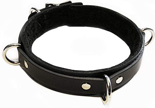 Dungeonware Slimline D- Ring Collar with Fur Lining