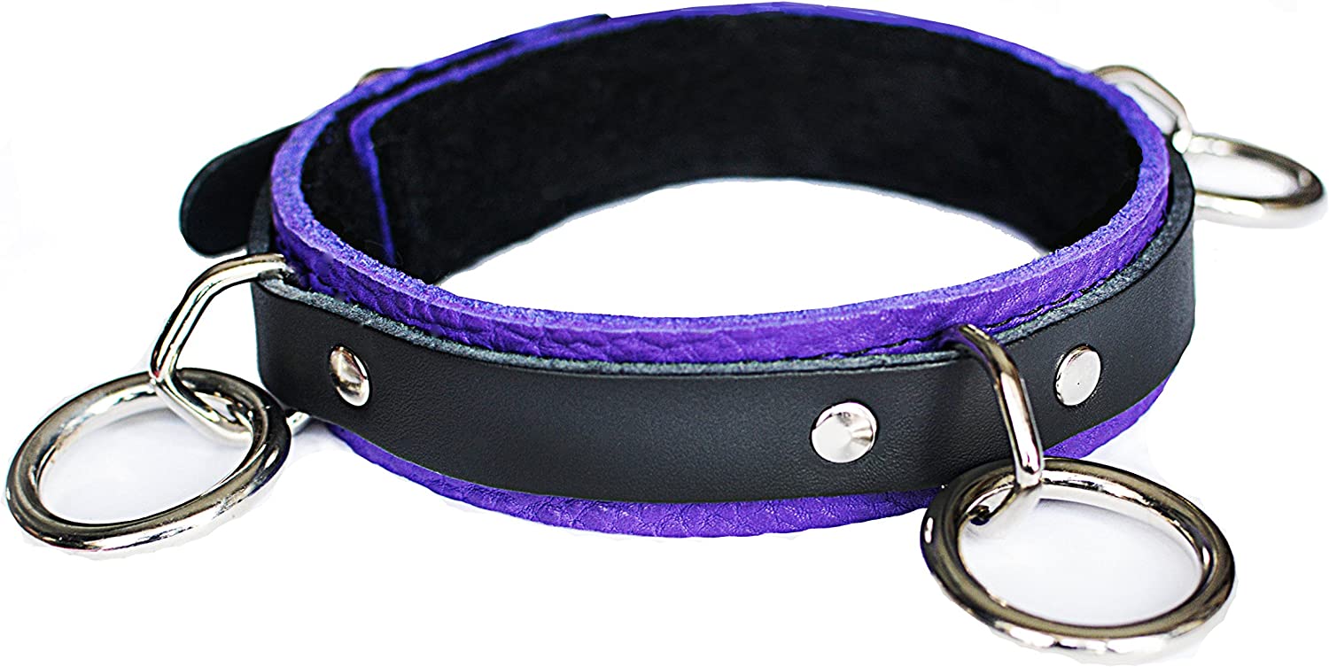 Slim Line D-ring Collar (Purple) Fur Lined – Dungeonware Leather