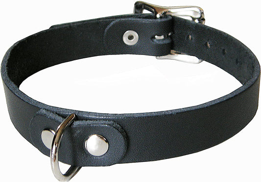 Dungeonware Simple Collar with Buckling Strap